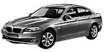 BMW F10 B264D Fault Code